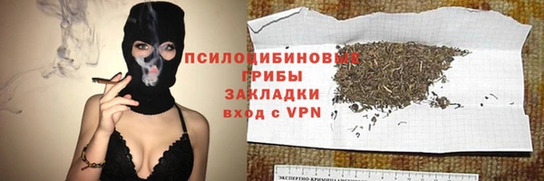 мдпв Струнино