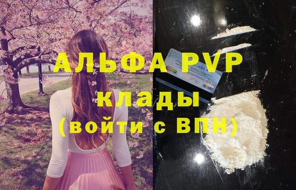стаф Бородино