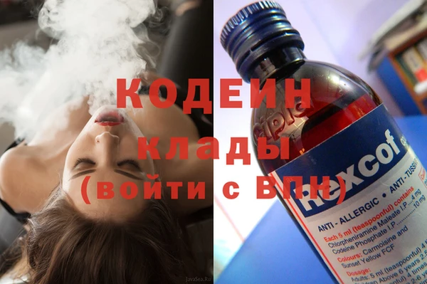 стаф Бородино